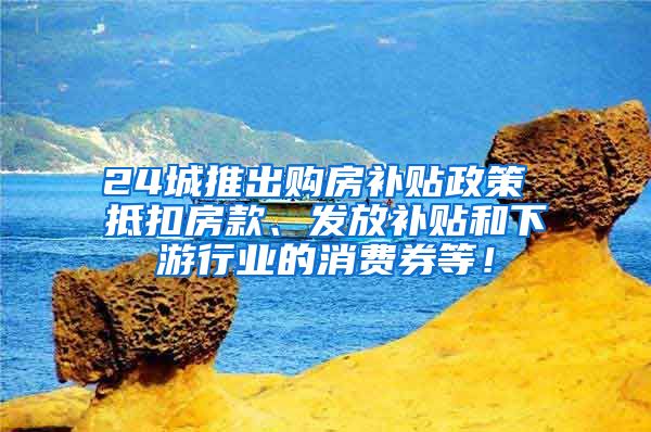 24城推出购房补贴政策 抵扣房款、发放补贴和下游行业的消费券等！