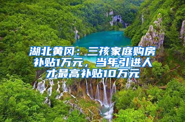 湖北黄冈：三孩家庭购房补贴1万元，当年引进人才最高补贴10万元