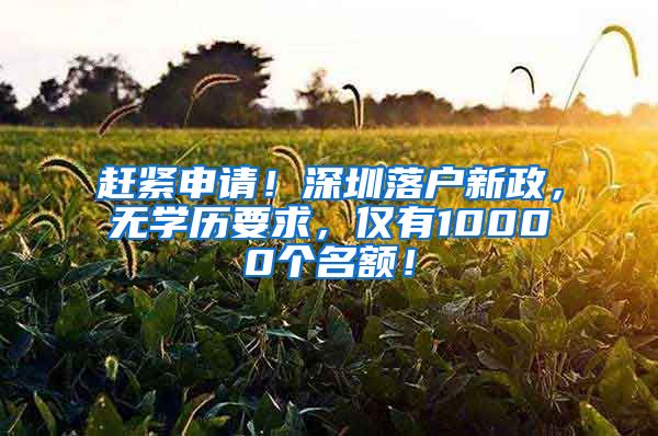 赶紧申请！深圳落户新政，无学历要求，仅有10000个名额！