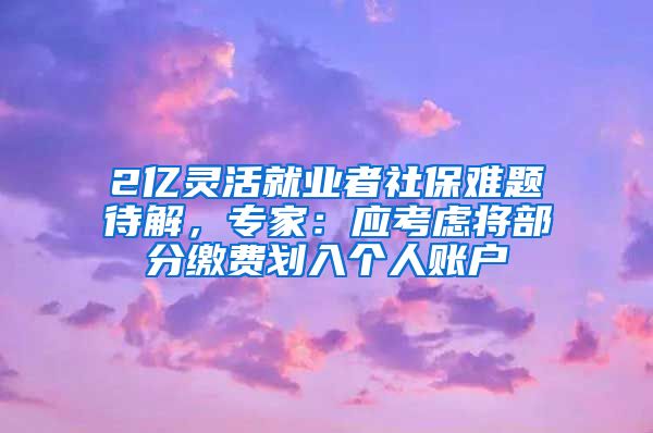 2亿灵活就业者社保难题待解，专家：应考虑将部分缴费划入个人账户