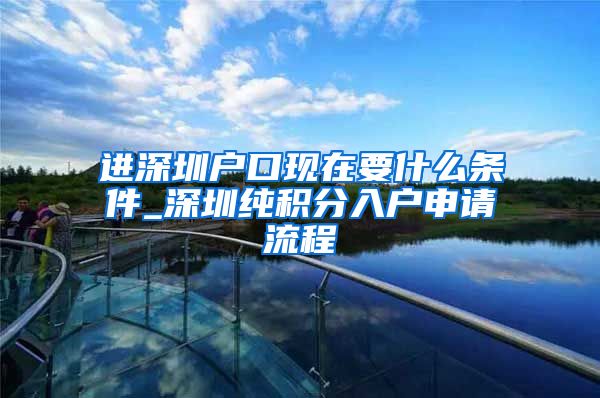 进深圳户口现在要什么条件_深圳纯积分入户申请流程