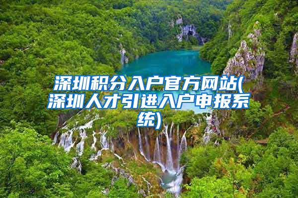 深圳积分入户官方网站(深圳人才引进入户申报系统)