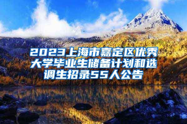 2023上海市嘉定区优秀大学毕业生储备计划和选调生招录55人公告