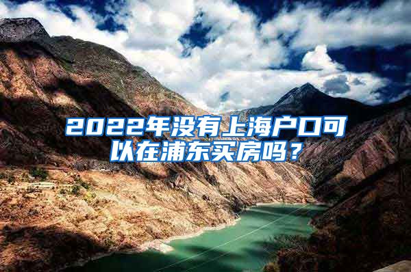 2022年没有上海户口可以在浦东买房吗？