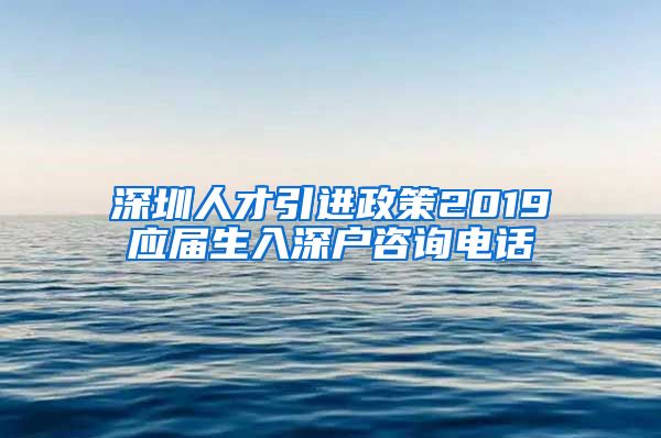 深圳人才引进政策2019应届生入深户咨询电话