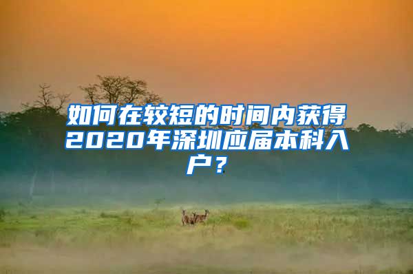 如何在较短的时间内获得2020年深圳应届本科入户？