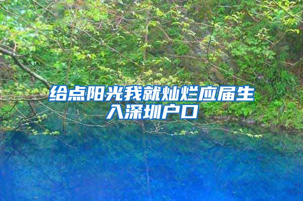 给点阳光我就灿烂应届生入深圳户口