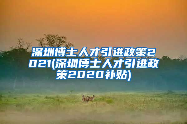 深圳博士人才引进政策2021(深圳博士人才引进政策2020补贴)