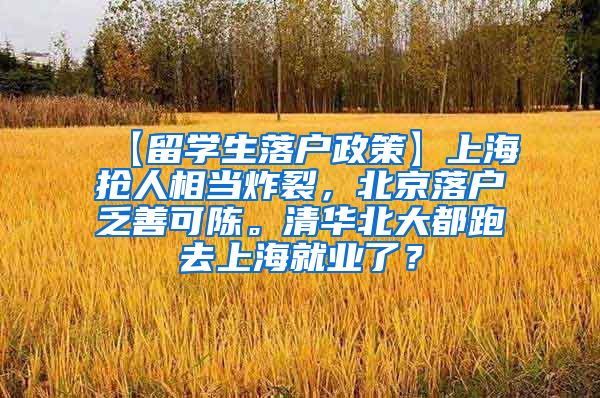 【留学生落户政策】上海抢人相当炸裂，北京落户乏善可陈。清华北大都跑去上海就业了？