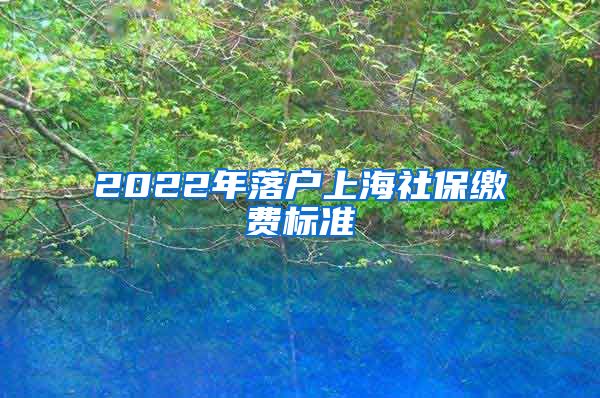 2022年落户上海社保缴费标准