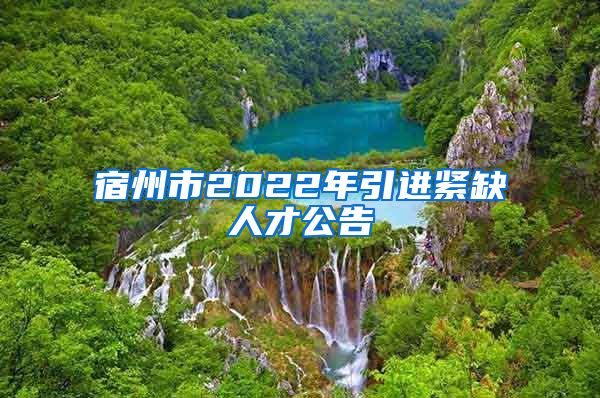 宿州市2022年引进紧缺人才公告