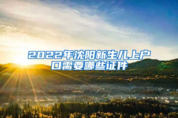 2022年沈阳新生儿上户口需要哪些证件