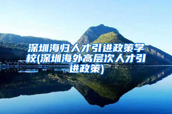 深圳海归人才引进政策学校(深圳海外高层次人才引进政策)