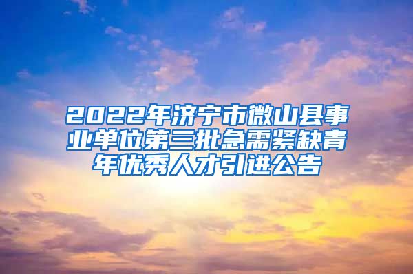 2022年济宁市微山县事业单位第三批急需紧缺青年优秀人才引进公告