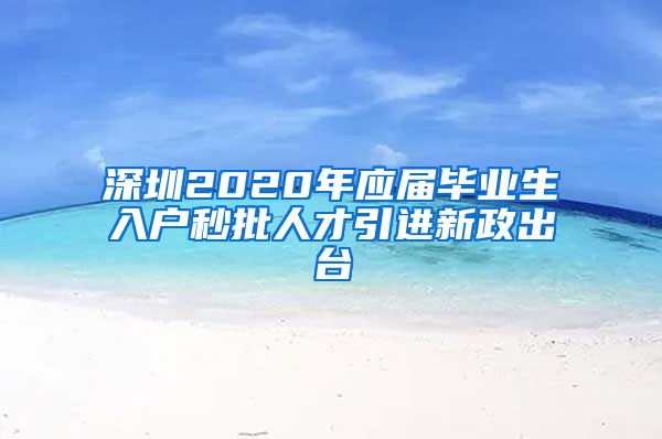 深圳2020年应届毕业生入户秒批人才引进新政出台