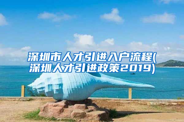 深圳市人才引进入户流程(深圳人才引进政策2019)