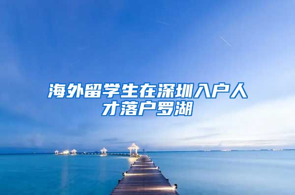 海外留学生在深圳入户人才落户罗湖