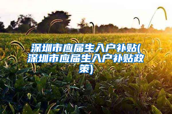 深圳市应届生入户补贴(深圳市应届生入户补贴政策)