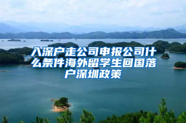 入深户走公司申报公司什么条件海外留学生回国落户深圳政策