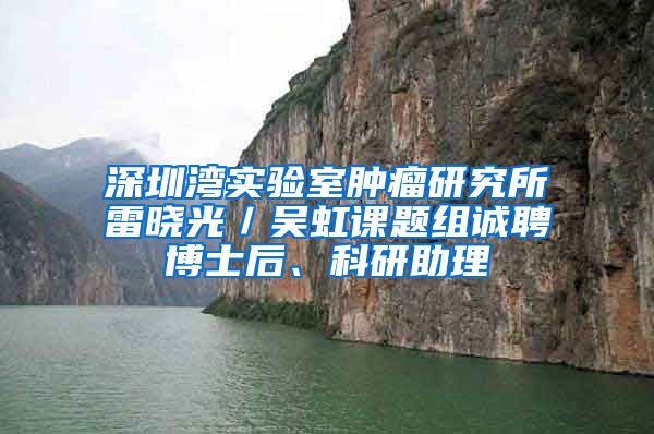 深圳湾实验室肿瘤研究所雷晓光／吴虹课题组诚聘博士后、科研助理