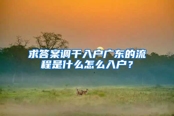 求答案调干入户广东的流程是什么怎么入户？