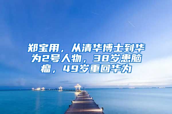 郑宝用，从清华博士到华为2号人物，38岁患脑瘤，49岁重回华为