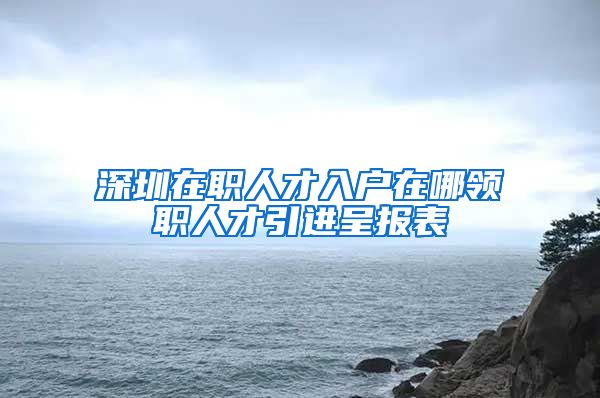 深圳在职人才入户在哪领职人才引进呈报表