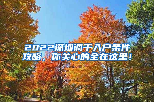 2022深圳调干入户条件攻略，你关心的全在这里！