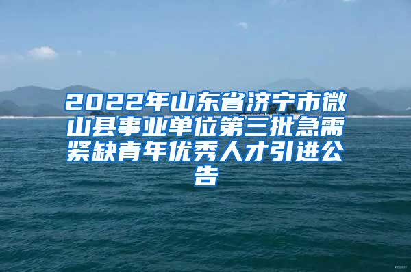 2022年山东省济宁市微山县事业单位第三批急需紧缺青年优秀人才引进公告