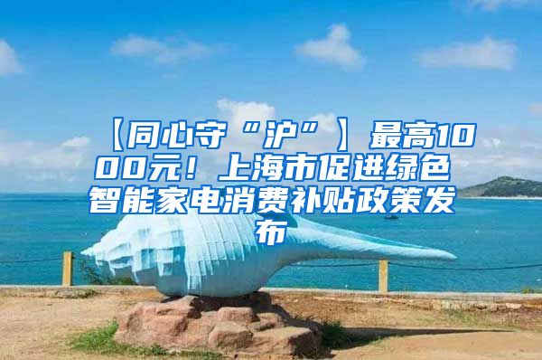 【同心守“沪”】最高1000元！上海市促进绿色智能家电消费补贴政策发布