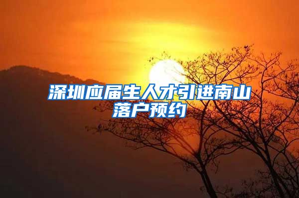 深圳应届生人才引进南山落户预约