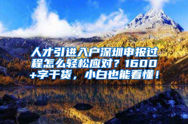 人才引进入户深圳申报过程怎么轻松应对？1600+字干货，小白也能看懂！