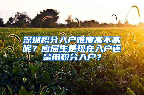 深圳积分入户难度高不高呢？应届生是现在入户还是用积分入户？