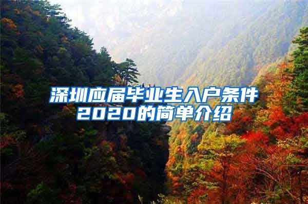 深圳应届毕业生入户条件2020的简单介绍