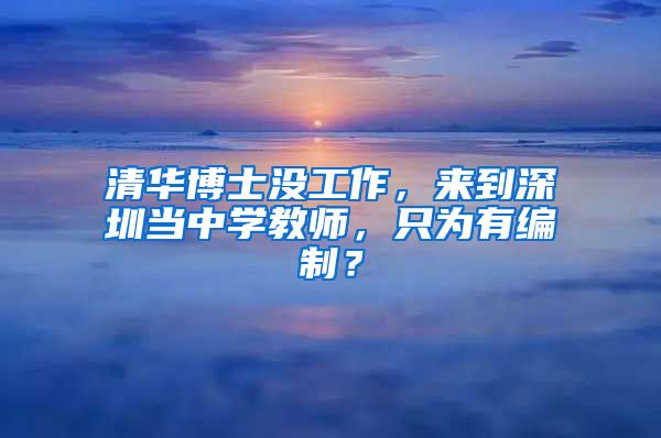 清华博士没工作，来到深圳当中学教师，只为有编制？