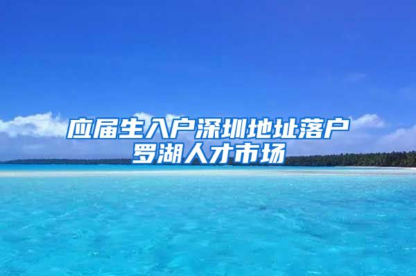 应届生入户深圳地址落户罗湖人才市场