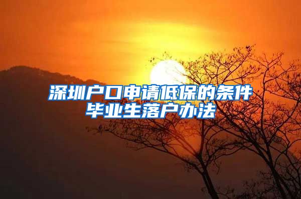 深圳户口申请低保的条件毕业生落户办法