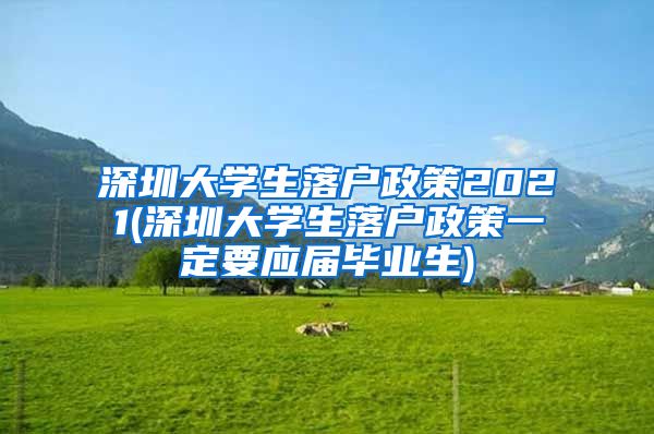 深圳大学生落户政策2021(深圳大学生落户政策一定要应届毕业生)