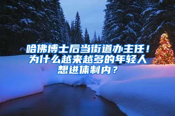 哈佛博士后当街道办主任！为什么越来越多的年轻人想进体制内？