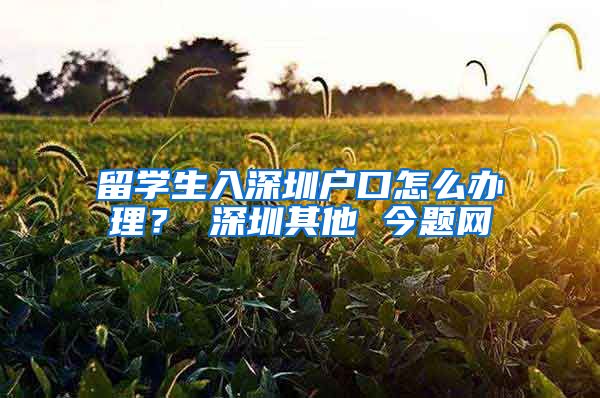 留学生入深圳户口怎么办理？ 深圳其他 今题网