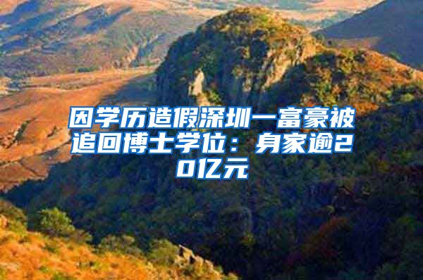 因学历造假深圳一富豪被追回博士学位：身家逾20亿元