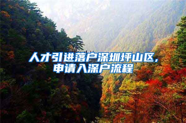 人才引进落户深圳坪山区,申请入深户流程