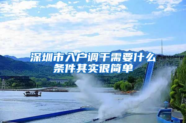 深圳市入户调干需要什么条件其实很简单