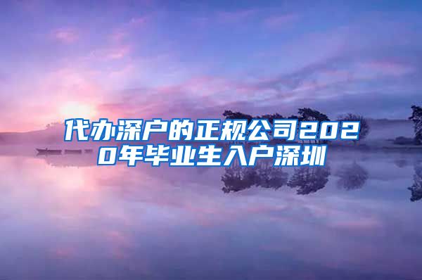 代办深户的正规公司2020年毕业生入户深圳