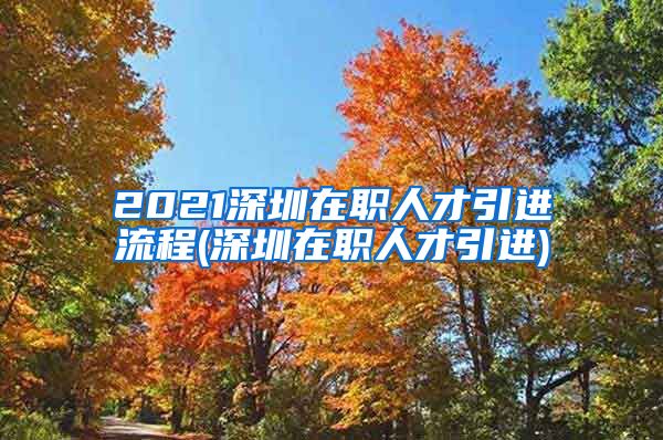 2021深圳在职人才引进流程(深圳在职人才引进)