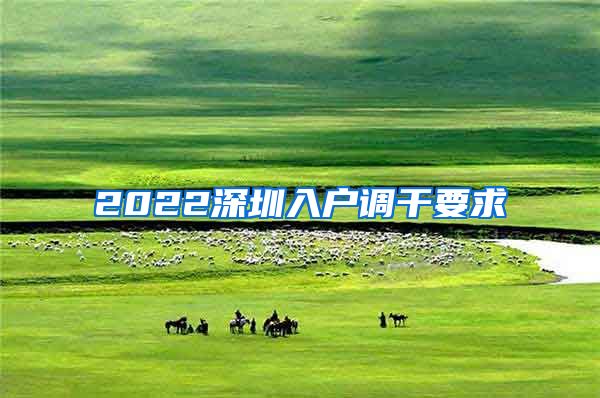 2022深圳入户调干要求