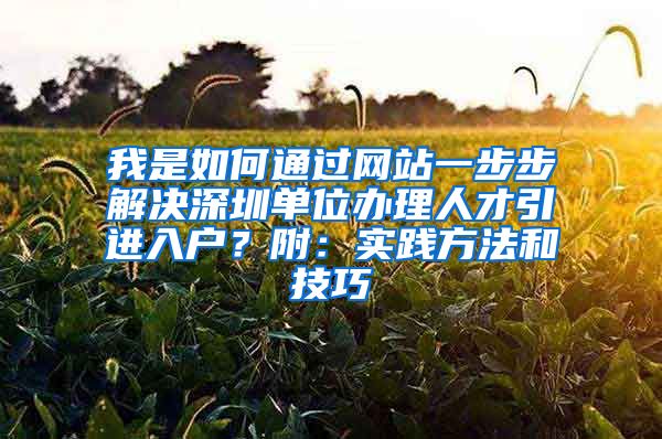 我是如何通过网站一步步解决深圳单位办理人才引进入户？附：实践方法和技巧