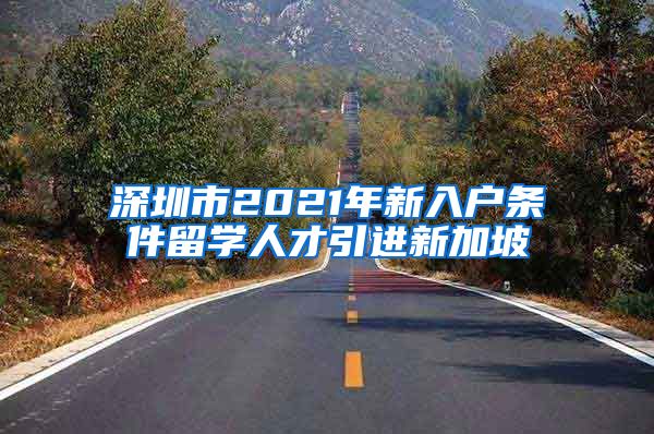 深圳市2021年新入户条件留学人才引进新加坡