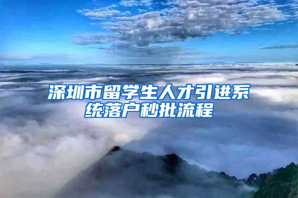 深圳市留学生人才引进系统落户秒批流程