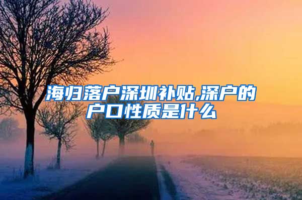 海归落户深圳补贴,深户的户口性质是什么